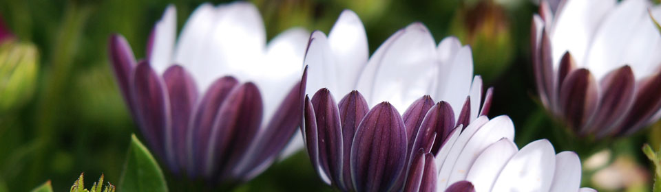 打爆别人短信的软件