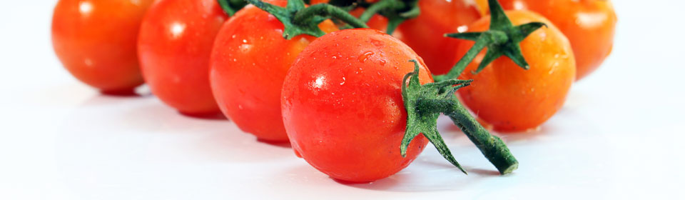 全天发货的短信轰机轰炸app下载